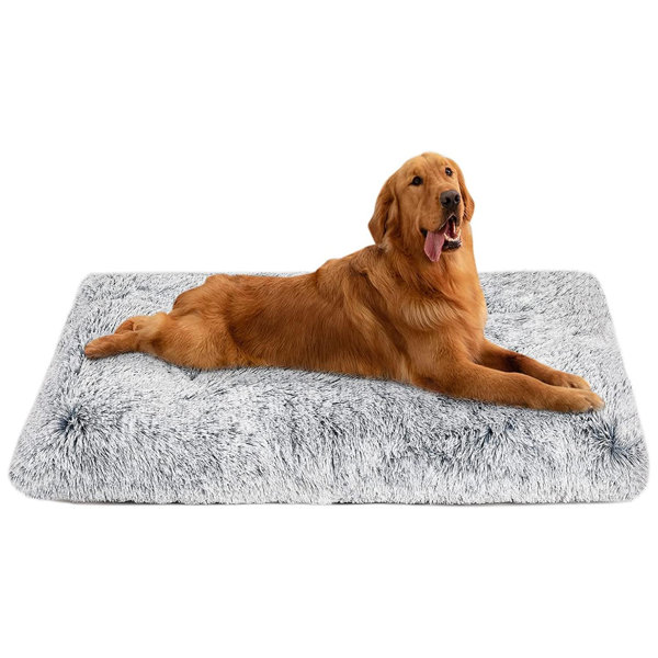 Tucker Murphy Pet Washable Dog Bed Dog Beds For Large Dogs Plush